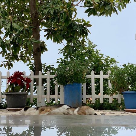 Holiday Home Ali Piqeras Ngoại thất bức ảnh