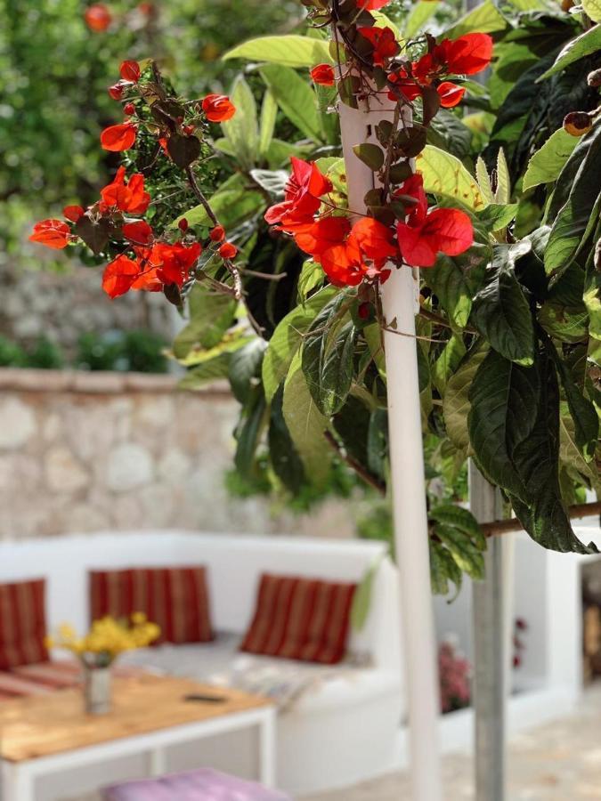 Holiday Home Ali Piqeras Ngoại thất bức ảnh