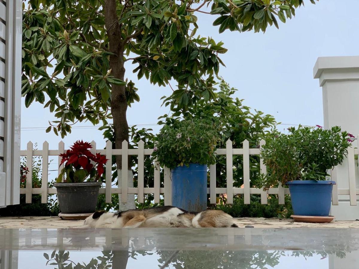 Holiday Home Ali Piqeras Ngoại thất bức ảnh